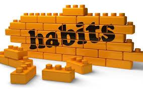 Identity-Based Habits