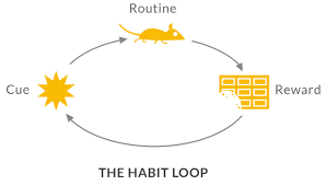 The Science of Habits